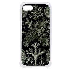 Weave Haeckel Lichenes Photobionten Iphone Se by Cemarart