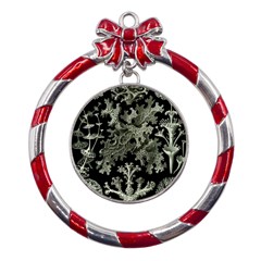 Weave Haeckel Lichenes Photobionten Metal Red Ribbon Round Ornament by Cemarart