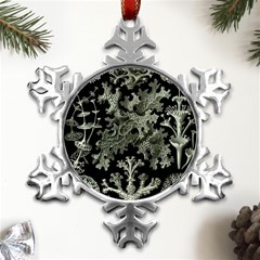 Weave Haeckel Lichenes Photobionten Metal Small Snowflake Ornament by Cemarart