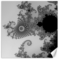 Males Mandelbrot Abstract Almond Bread Canvas 20  X 20  by Cemarart