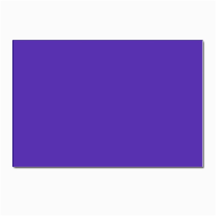 Ultra Violet Purple Postcard 4 x 6  (Pkg of 10)