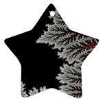 Himalaya Nature Mountain Ornament (Star) Front