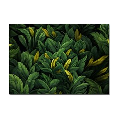 Banana leaves Sticker A4 (10 pack)