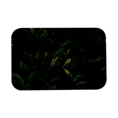 Banana leaves Open Lid Metal Box (Silver)  