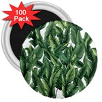 Green banana leaves 3  Magnets (100 pack) Front