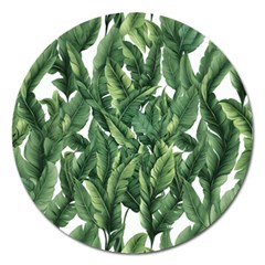 Green Banana Leaves Magnet 5  (round) by goljakoff