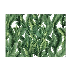 Green Banana Leaves Sticker A4 (100 Pack) by goljakoff