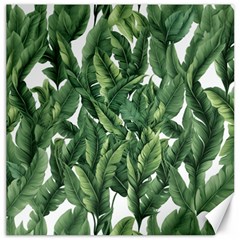 Green banana leaves Canvas 12  x 12 