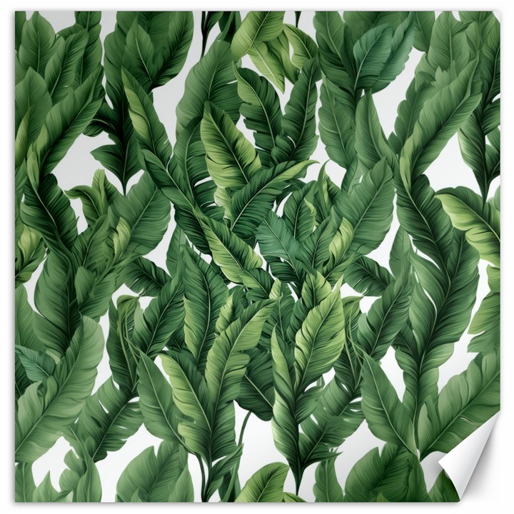 Green banana leaves Canvas 12  x 12 