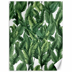 Green banana leaves Canvas 12  x 16 