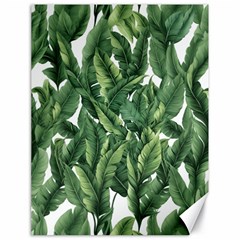 Green Banana Leaves Canvas 18  X 24  by goljakoff