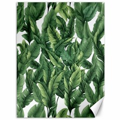 Green banana leaves Canvas 36  x 48 