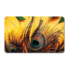 Peacock Feather Native Magnet (rectangular) by Cemarart