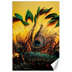 Peacock Feather Native Canvas 20  X 30  by Cemarart