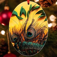 Peacock Feather Native Uv Print Acrylic Ornament Oval by Cemarart