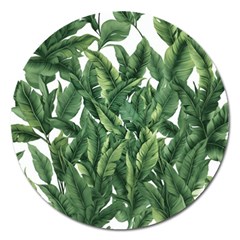 Tropical Leaves Magnet 5  (round) by goljakoff