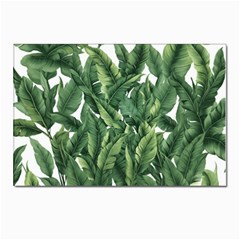 Tropical Leaves Postcards 5  X 7  (pkg Of 10) by goljakoff