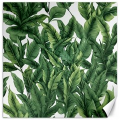 Tropical Leaves Canvas 20  X 20  by goljakoff