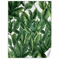 Tropical Leaves Canvas 36  X 48  by goljakoff