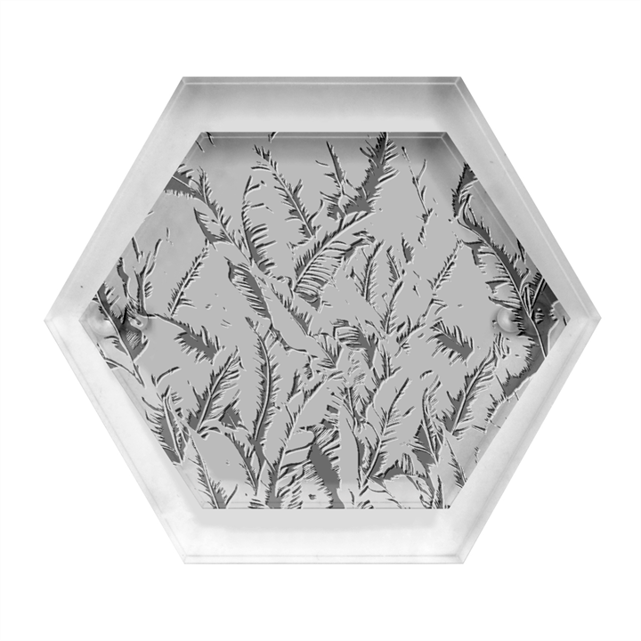 Tropical leaves Hexagon Wood Jewelry Box