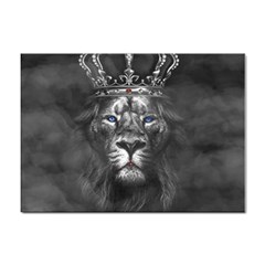 Lion King Of The Jungle Nature Sticker A4 (10 Pack) by Cemarart