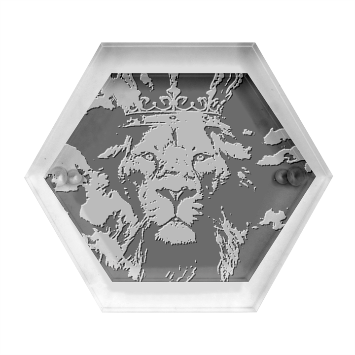 Lion King Of The Jungle Nature Hexagon Wood Jewelry Box