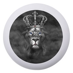 Lion King Of The Jungle Nature Dento Box With Mirror