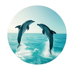 Dolphin Sea Ocean Mini Round Pill Box (pack Of 3) by Cemarart