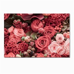 Pink Roses Flowers Love Nature Postcard 4 x 6  (pkg Of 10) by Grandong