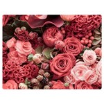 Pink Roses Flowers Love Nature Premium Plush Fleece Blanket (Extra Small) 40 x30  Blanket Front