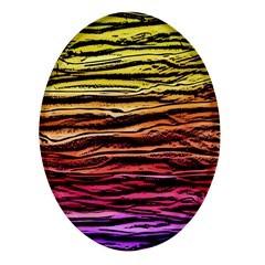 Rainbow Wood Digital Paper Pattern Oval Glass Fridge Magnet (4 Pack) by Cemarart