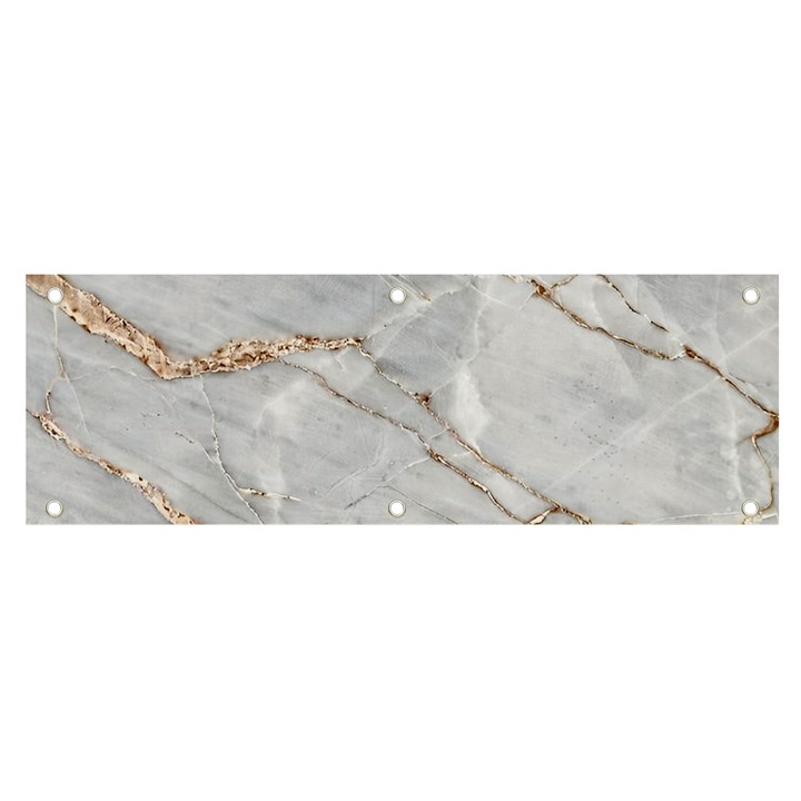 Gray Light Marble Stone Texture Background Banner and Sign 6  x 2 