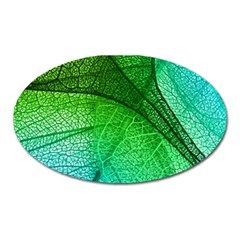 3d Leaves Texture Sheet Blue Green Oval Magnet by Cemarart