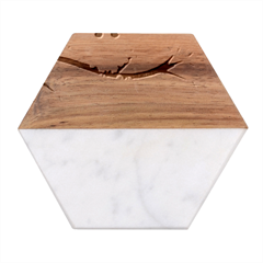 Owls Family Stripe Tree Marble Wood Coaster (hexagon)  by Bedest