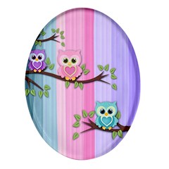 Owls Family Stripe Tree Oval Glass Fridge Magnet (4 Pack) by Bedest