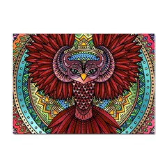 Colorful Owl Art Red Owl Sticker A4 (100 Pack) by Bedest