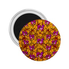 Blooming Flowers Of Orchid Paradise 2 25  Magnets by pepitasart