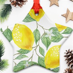 Fruit-2310212 Ornament (star)