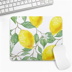 Fruit-2310212 Large Mousepad by lipli