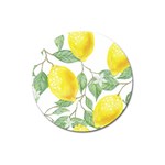 Fruit-2310212 Magnet 3  (Round) Front