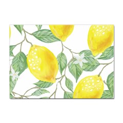 Fruit-2310212 Sticker A4 (10 Pack) by lipli