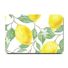 Fruit-2310212 Small Doormat