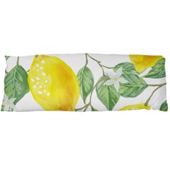 Fruit-2310212 Body Pillow Case Dakimakura (two Sides) by lipli