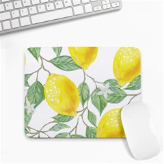 Fruit-2310212 Small Mousepad by lipli