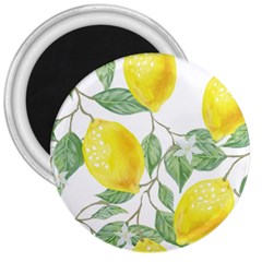 Fruit-2310212 3  Magnets by lipli