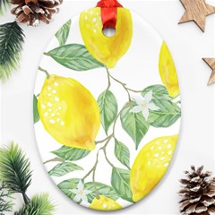 Fruit-2310212 Ornament (oval)