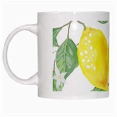 Fruit-2310212 White Mug by lipli