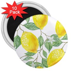 Fruit-2310212 3  Magnets (10 Pack)  by lipli