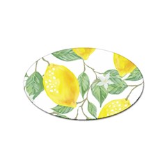 Fruit-2310212 Sticker (oval) by lipli