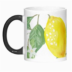 Fruit-2310212 Morph Mug by lipli